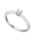 Anillo oro blanco y Diamante