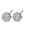 White gold earrings with Diamonds