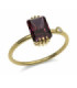 Yellow gold ring with Rhodolite and Diamond