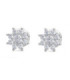 Pendientes oro blanco y Diamantes