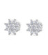 White gold earrings with Diamonds