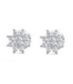 White gold earrings with Diamonds