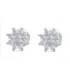 Pendientes oro blanco y Diamantes